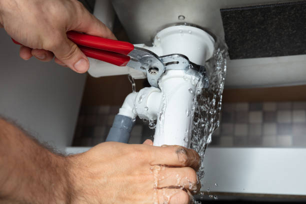 Best Mold removal after water damage  in Goldenrod, FL