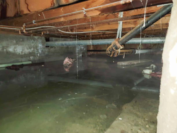  Goldenrod, FL Water damage restoration Pros