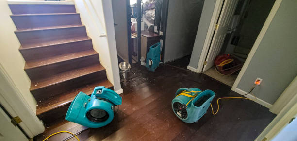 Best Water damage contractors near me  in Goldenrod, FL