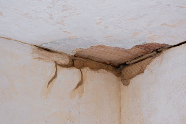 Best Water damage restoration services  in Goldenrod, FL
