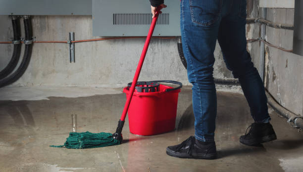 Sewage cleanup and water damage restoration in Goldenrod, FL