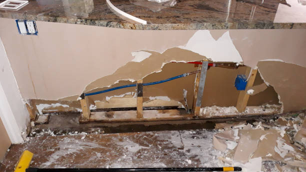 Best Water damage repair service  in Goldenrod, FL