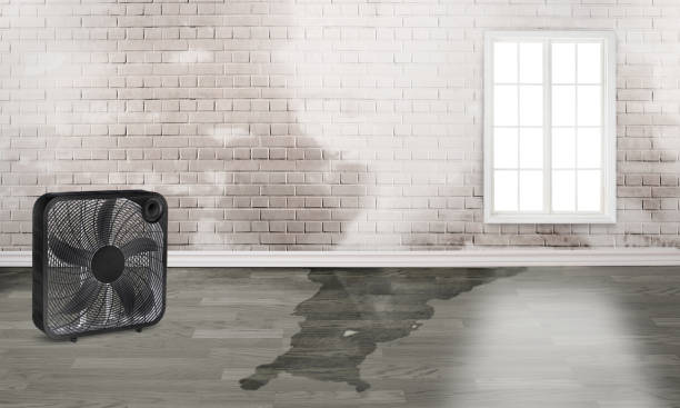 Best Fire Damage Restoration  in Goldenrod, FL