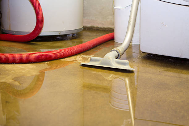 Best 24-hour water damage restoration  in Goldenrod, FL