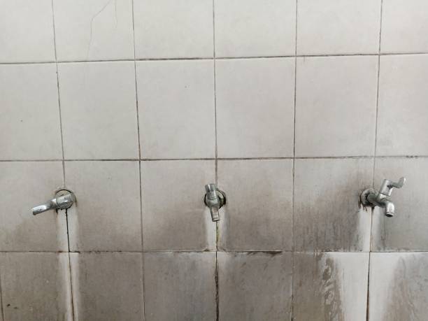  Goldenrod, FL Water damage restoration Pros