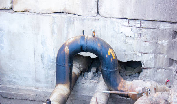 Best Water damage restoration mold remediation  in Goldenrod, FL