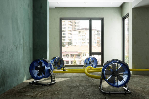 Best Commercial water damage restoration  in Goldenrod, FL